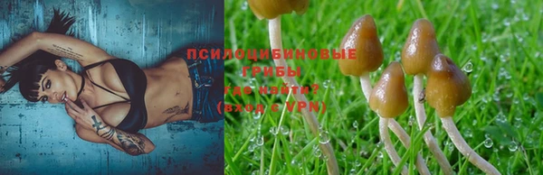 марки nbome Верея